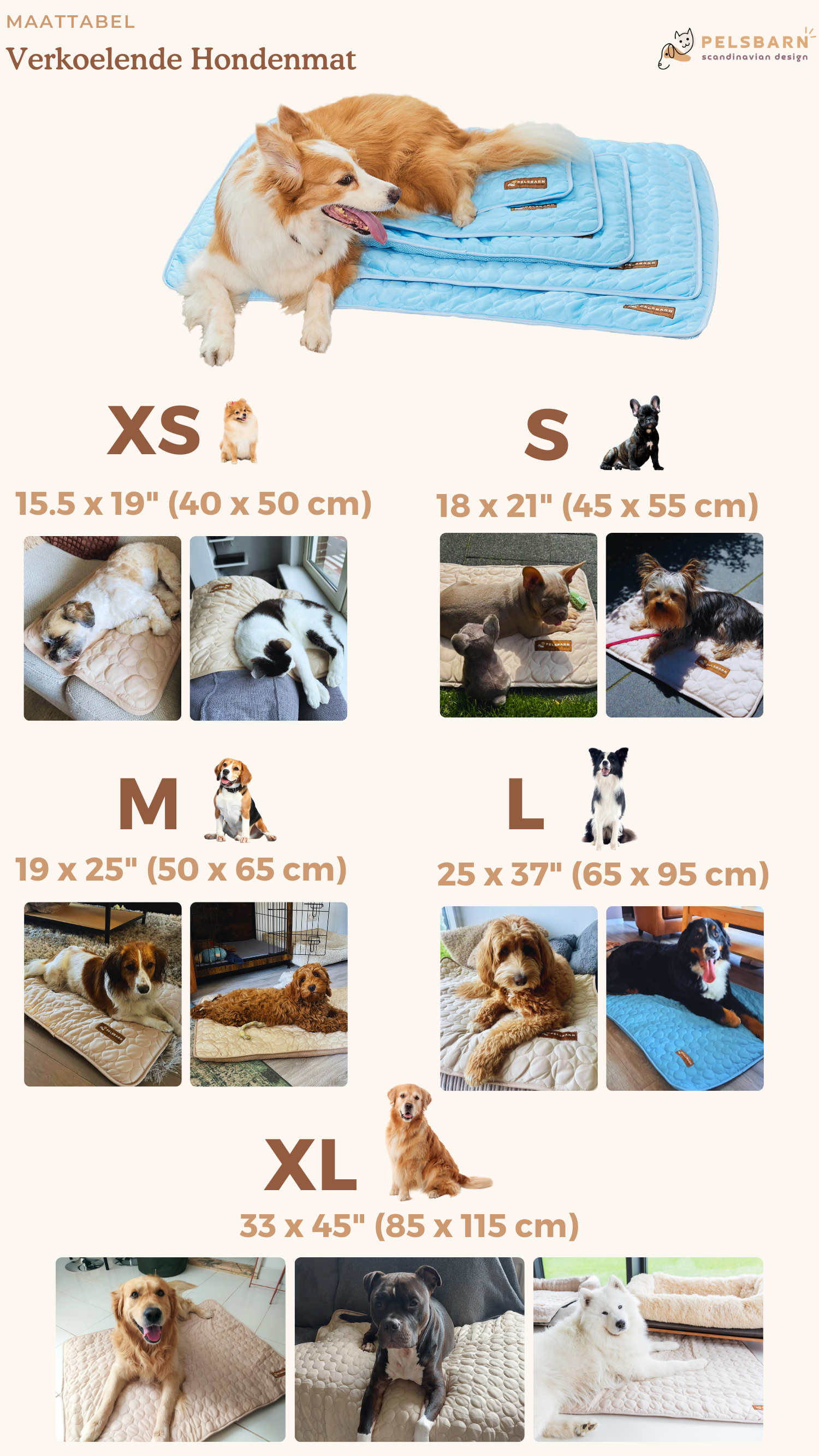 Size chart desktop