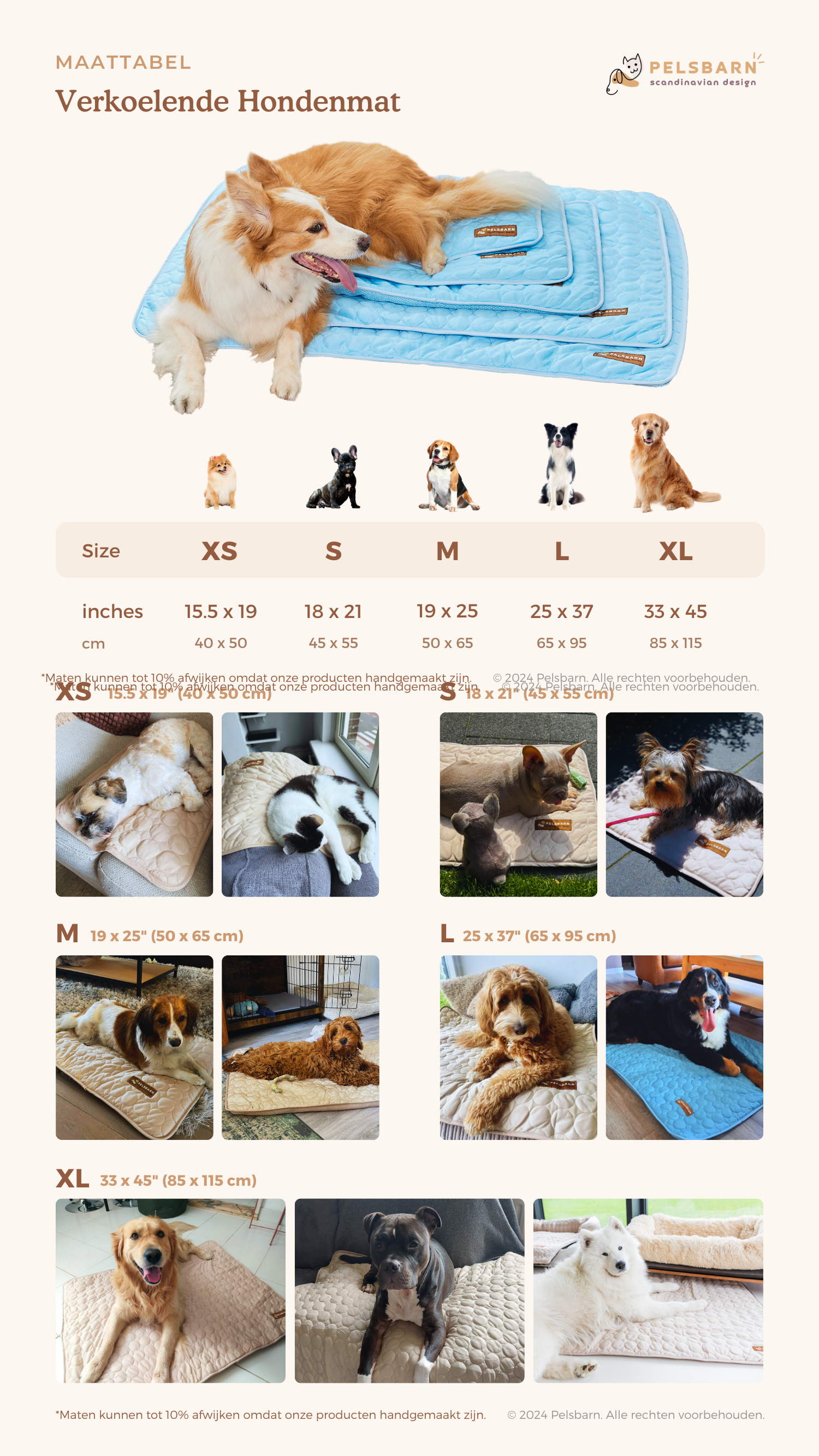 Size chart desktop