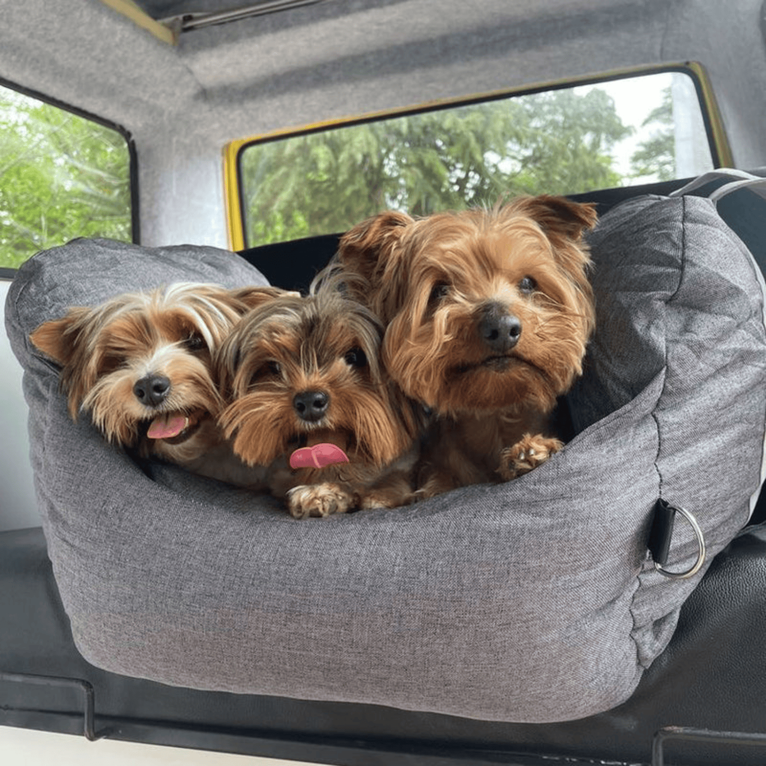 Kalmerend hondenbed voor meer comfort in de auto