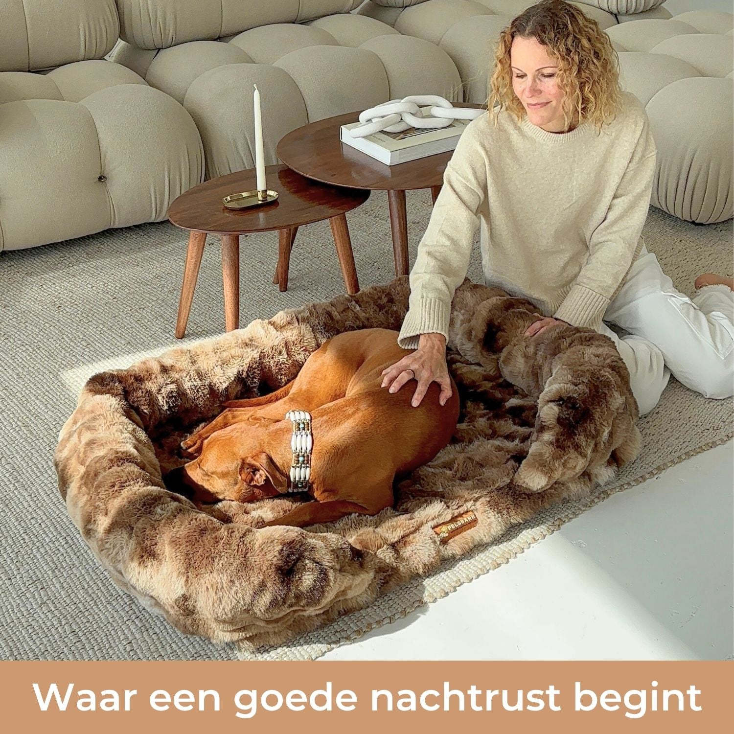 Gun je hond rust die écht herstelt