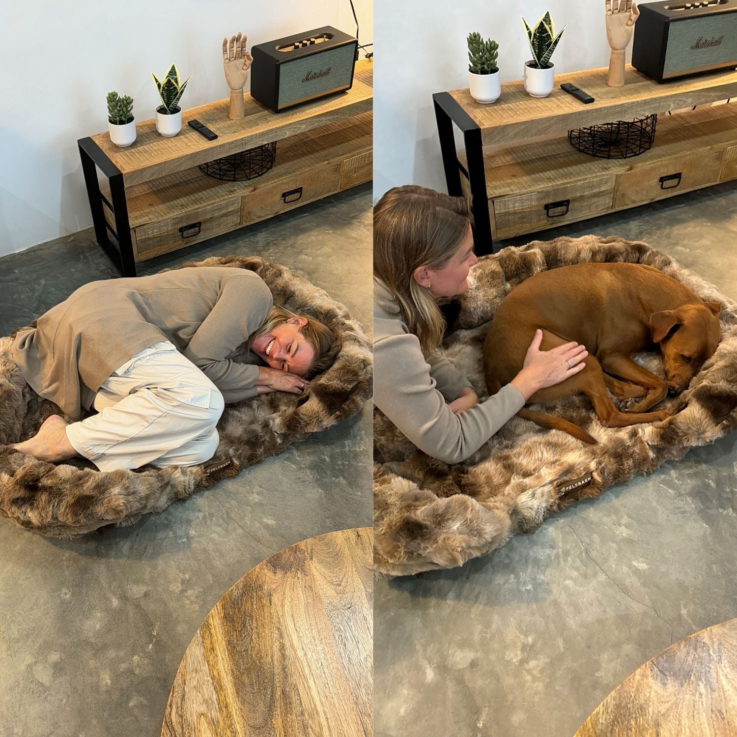 Gun je hond rust die écht herstelt
