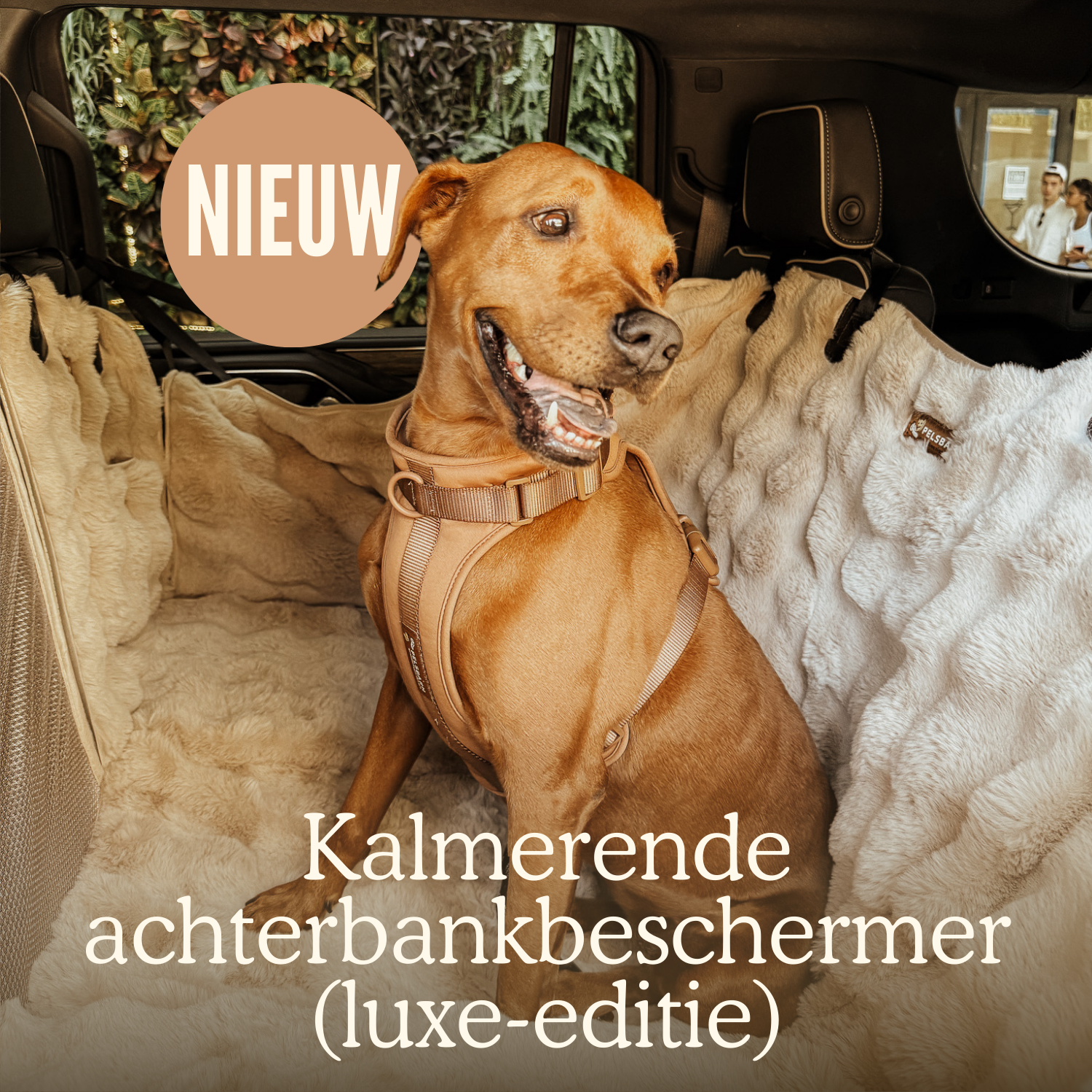 Kalmerende achterbankbeschermer (luxe-editie)