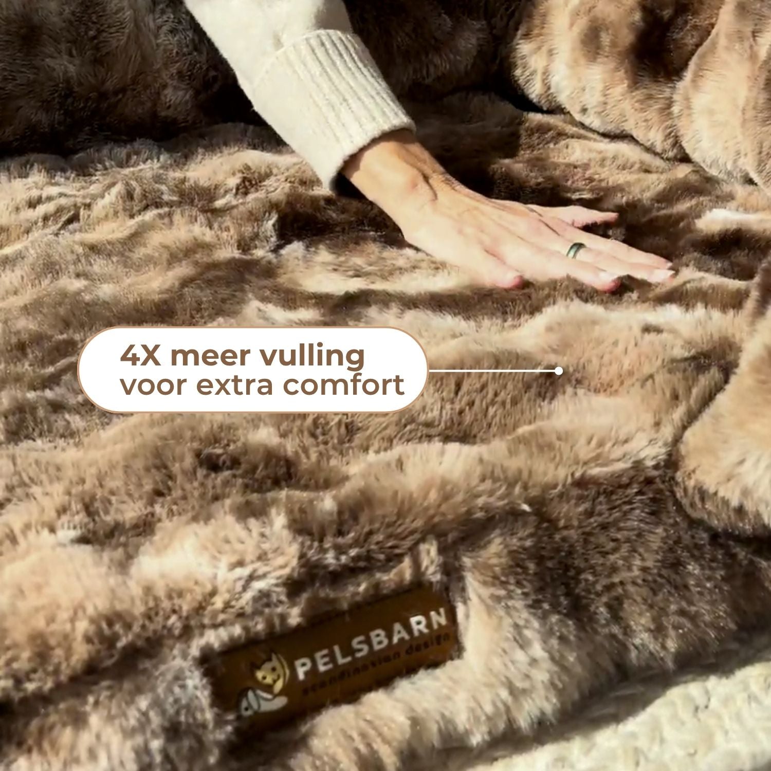 Gun je hond rust die écht herstelt