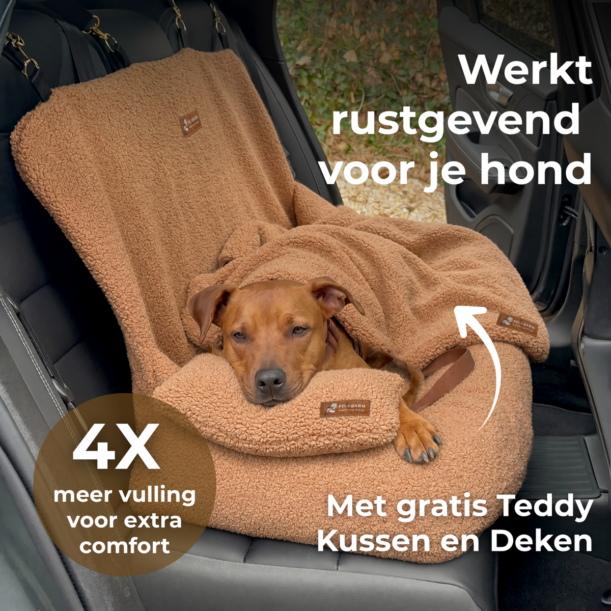 Teddy Automand (volledige set)
