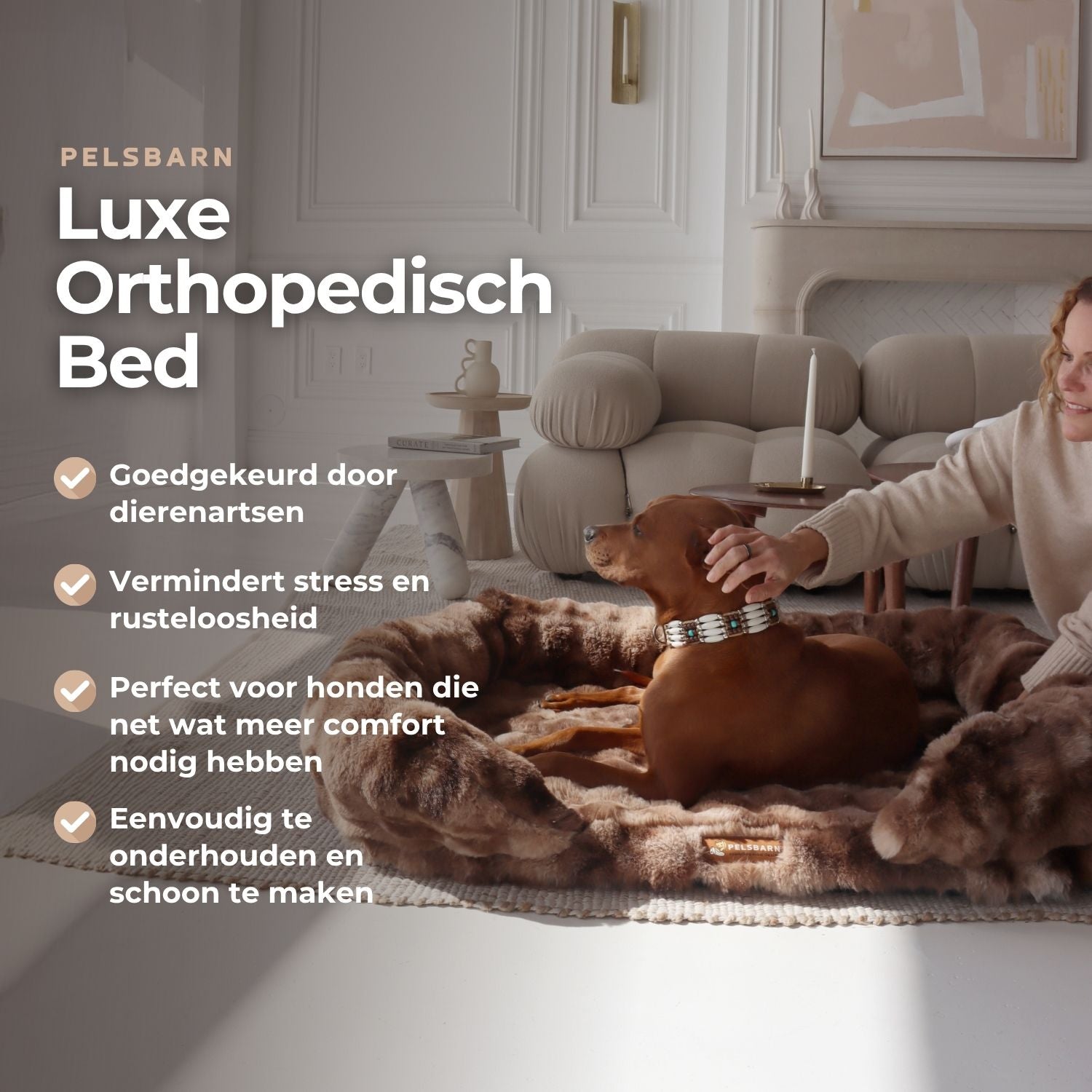 Gun je hond rust die écht herstelt