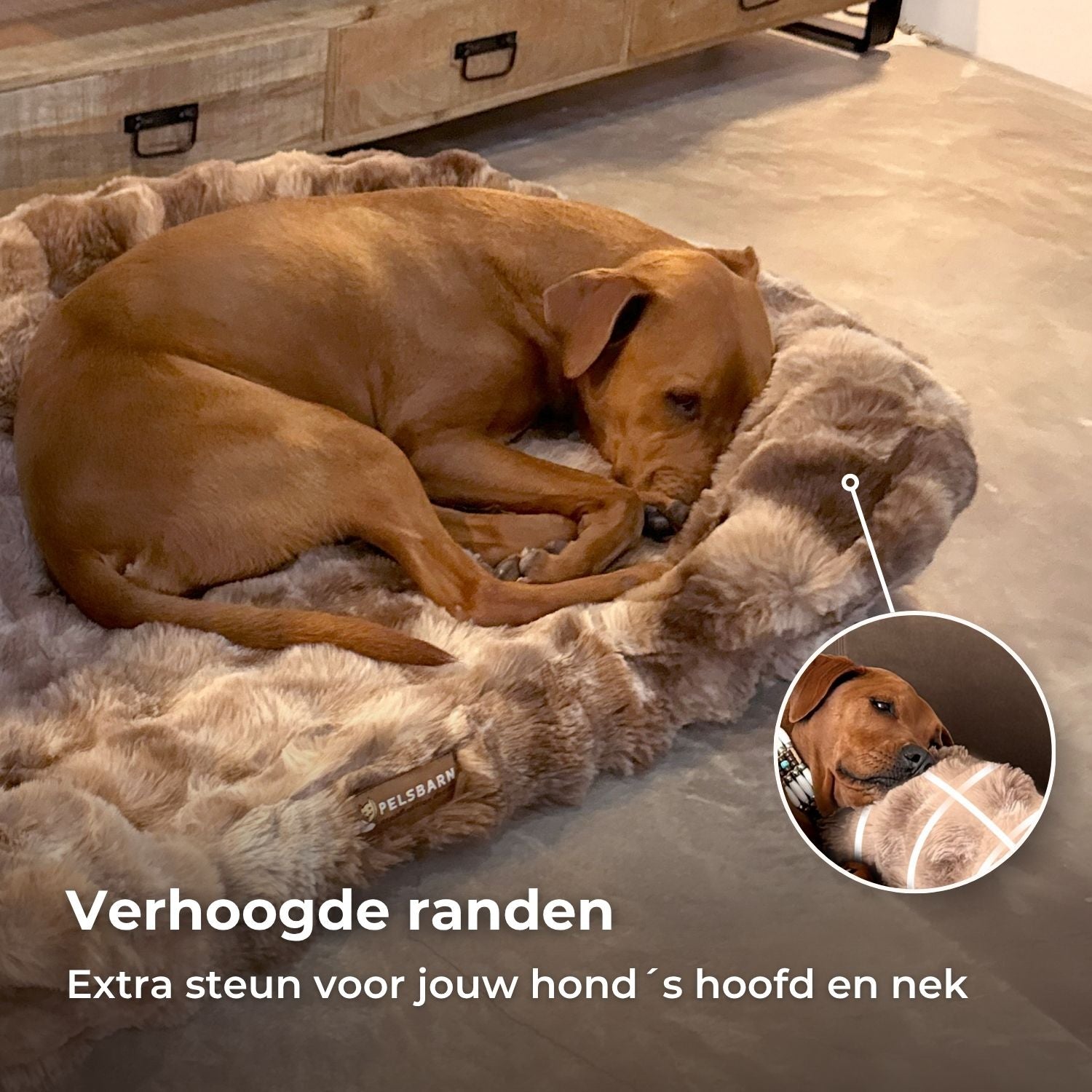Gun je hond rust die écht herstelt