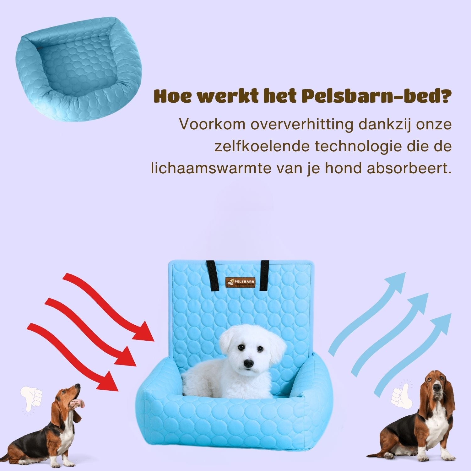 Pelsbarn verkoelende automand (4 keer effectiever)