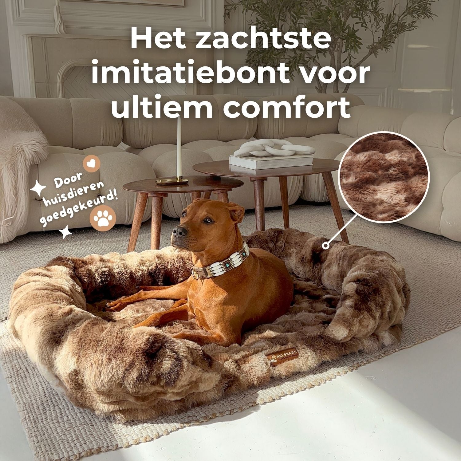 Gun je hond rust die écht herstelt
