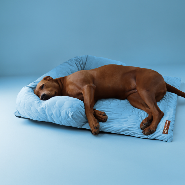 Verkoelend Pelsbarn Bed Complete Set