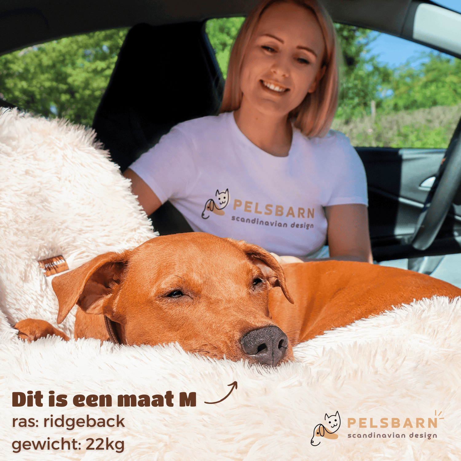 Pelsbarn car dog bed (2-in-1)