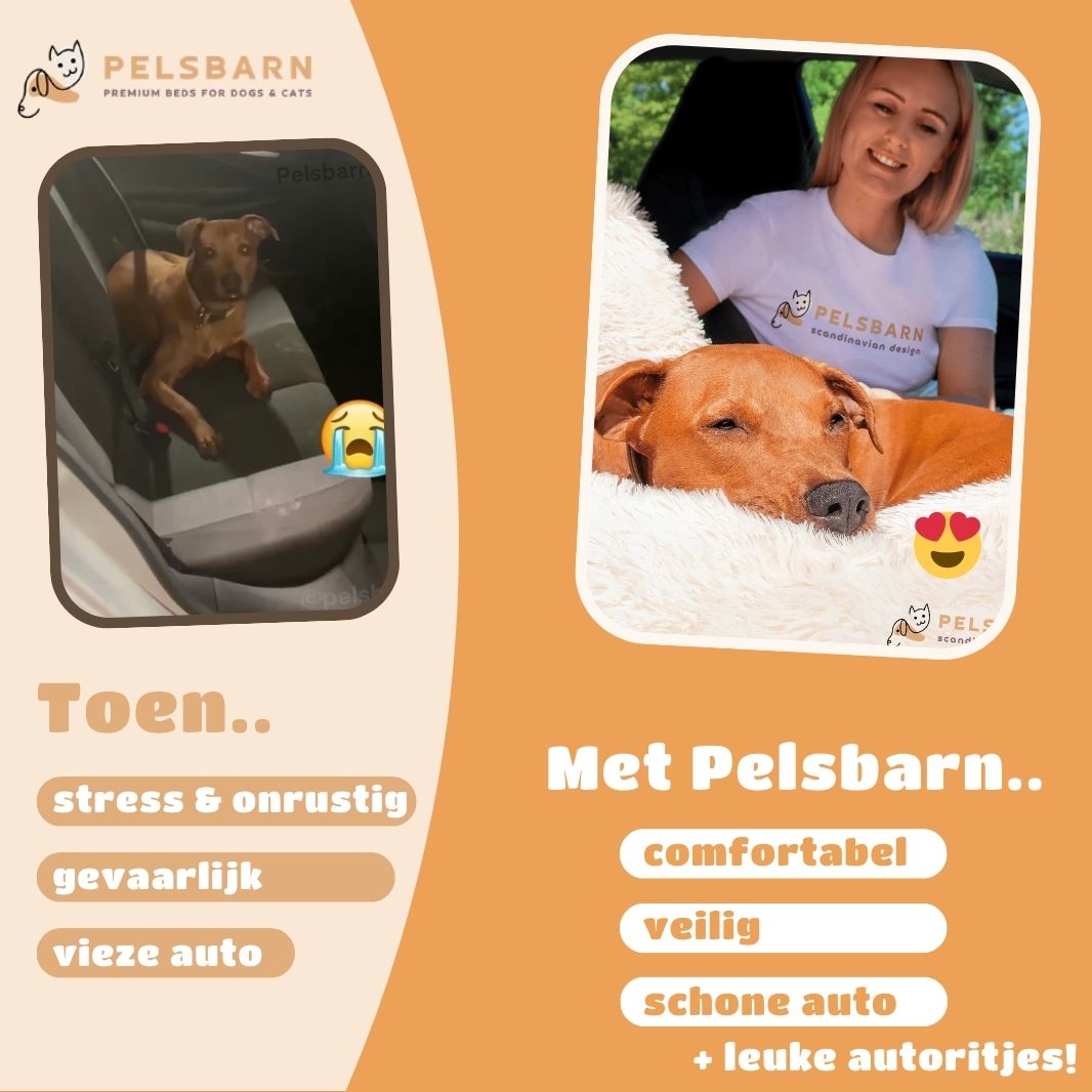 Pelsbarn Auto Hondenmand + Gratis Veiligheidsriem