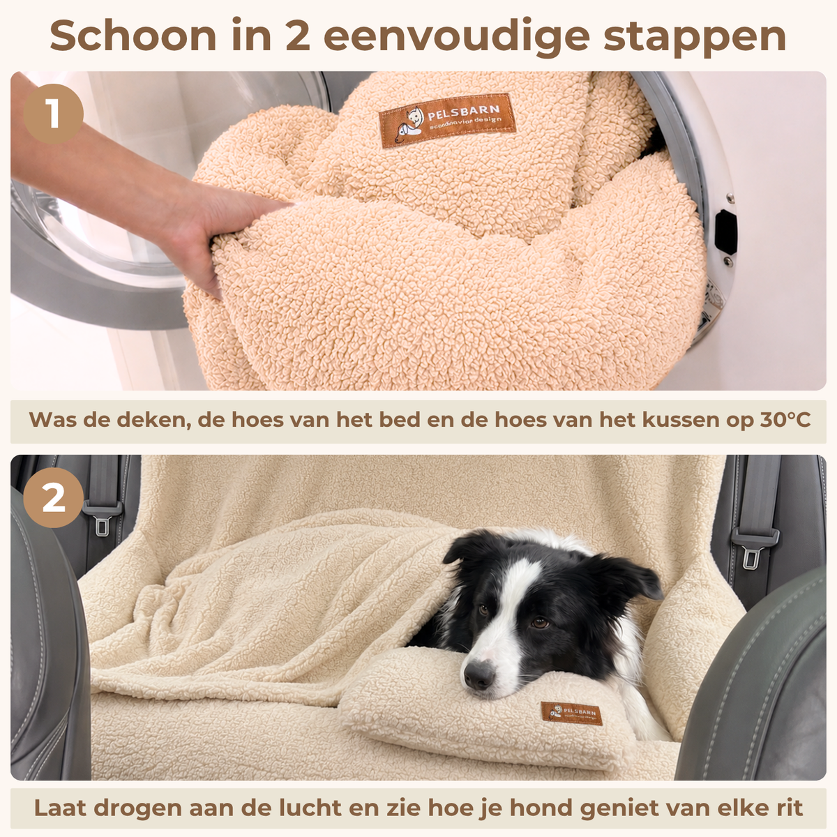 Teddy Automand (volledige set)