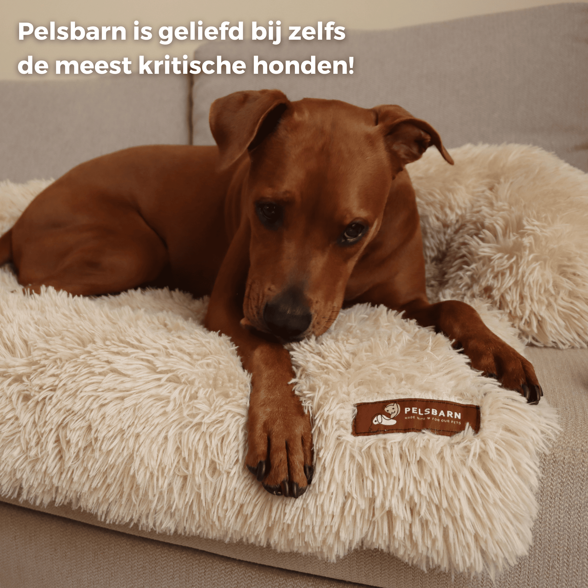Pelsbarn Calming Couch Protector (Improved Version)
