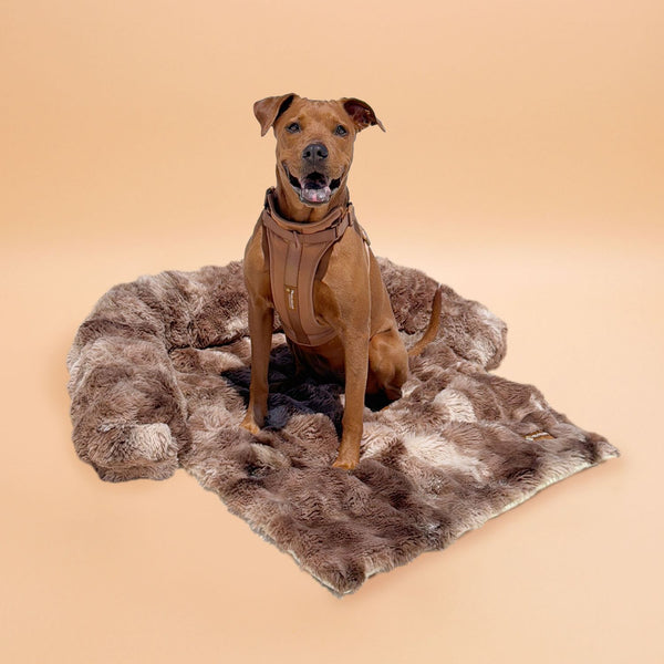 Luxe Pelsbarn Bed + GRATIS kalmerende deken