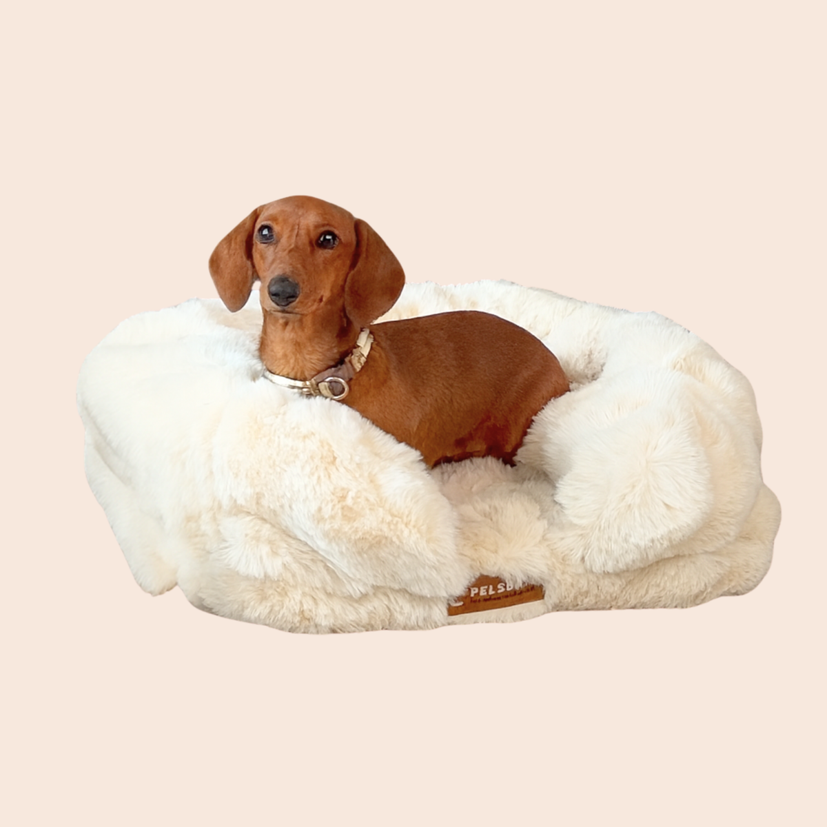 Luxe Orthopedisch Bed