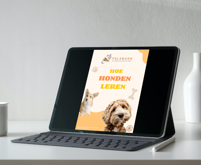 CADEAU: Hondenboek ''leer je hond alles!''