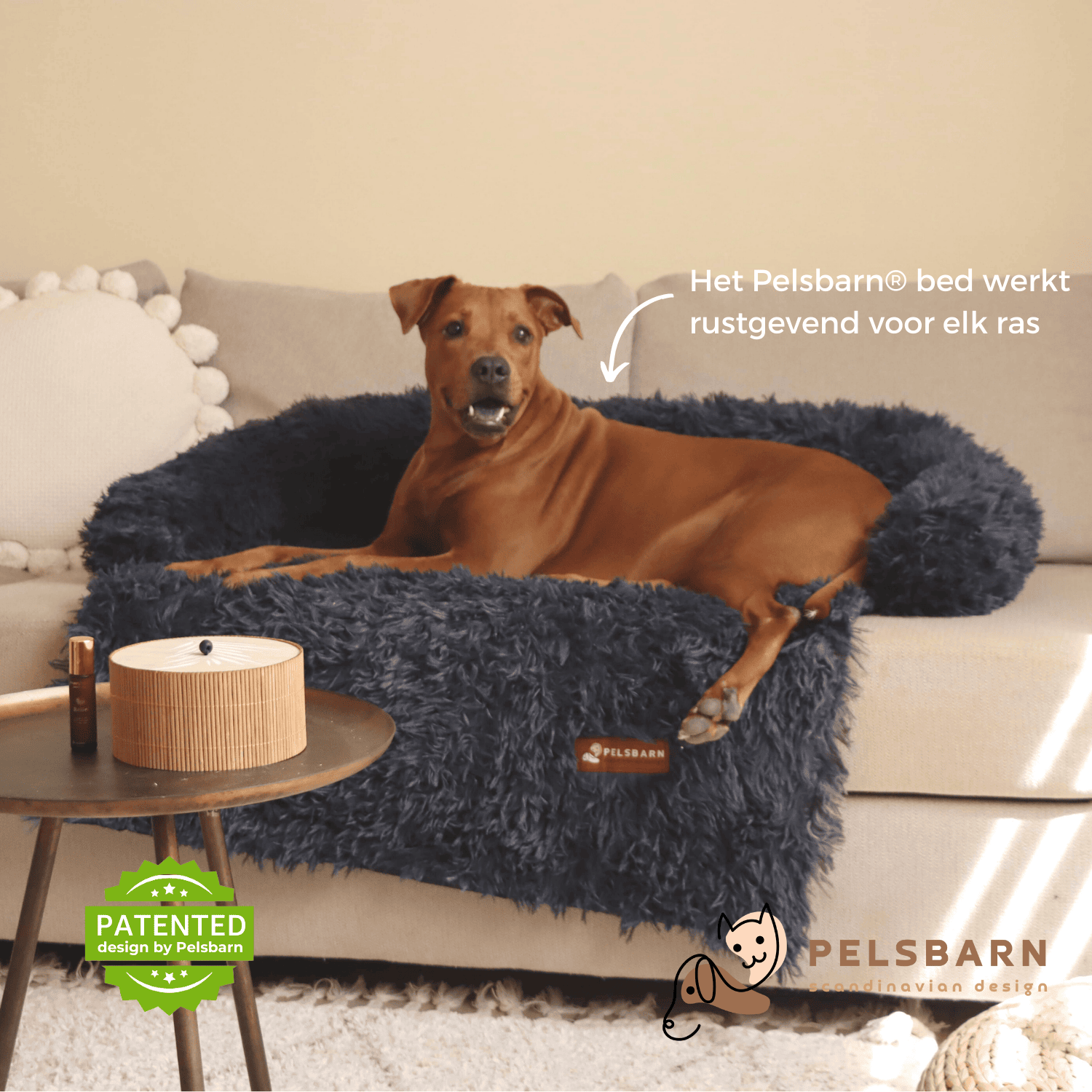 Pelsbarn Calming Couch Protector (Improved Version)