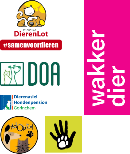 Onze impact