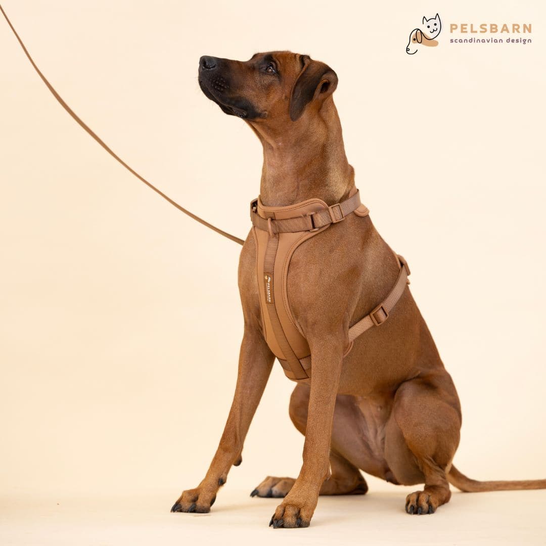 Pelsbarn harnas wandel set (inclusief riem en poepzakjes drager)