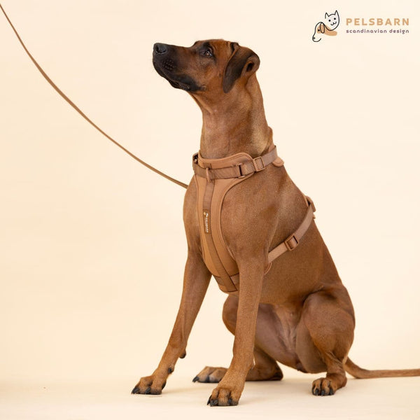 Pelsbarn harnas wandel set (inclusief riem en poepzakjes drager)