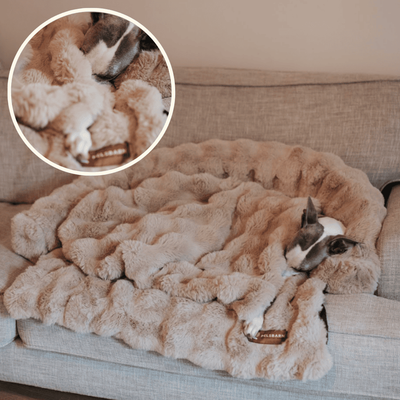 Pelsbarn Luxe Hondendeken