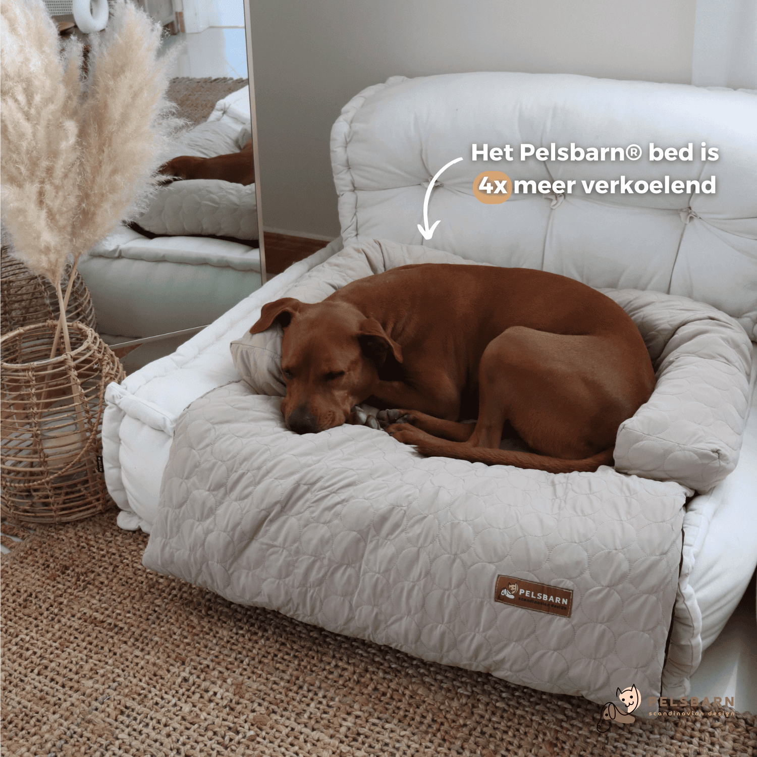 Verkoelend Pelsbarn Bed verkoelend-pelsbarn-bed