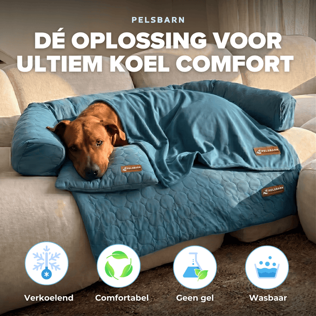 Verkoelend Pelsbarn Bed Complete Set