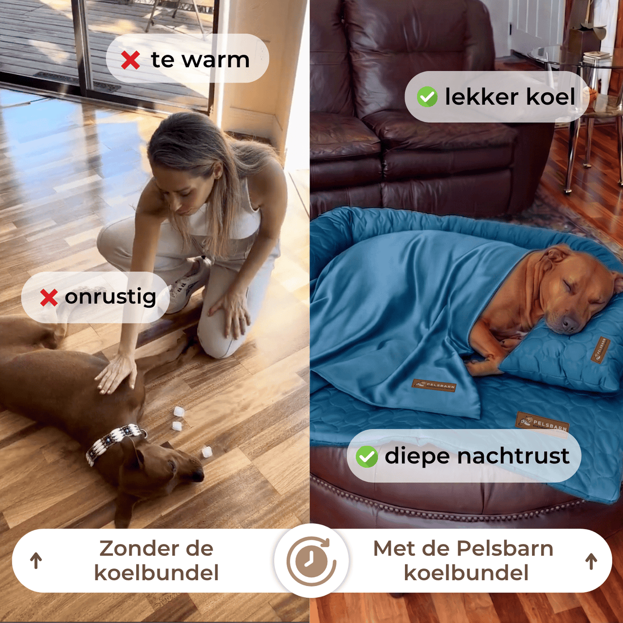 Verkoelend Pelsbarn Bed Complete Set