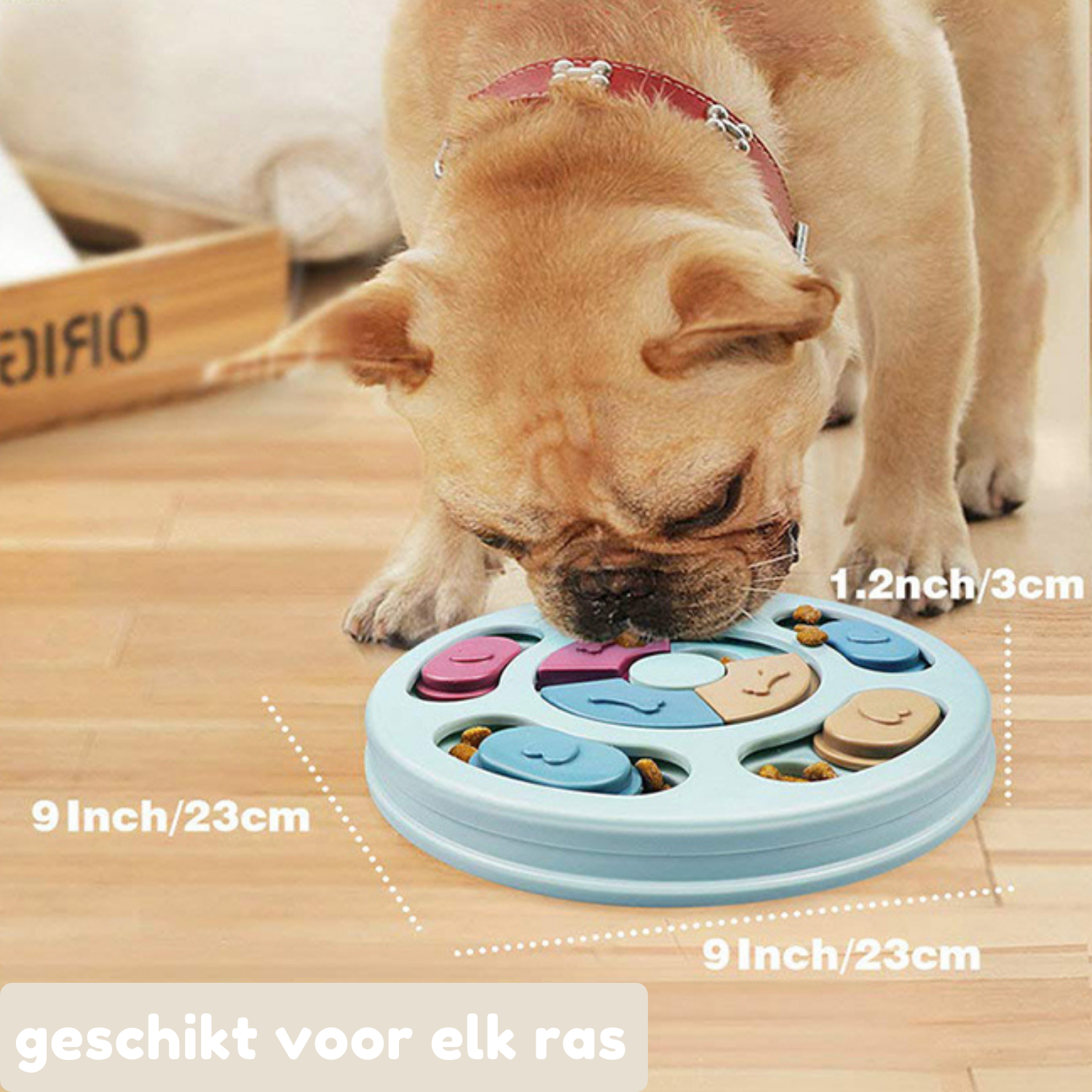 Food Bowl &amp; Game (2-in-1) for better digestion