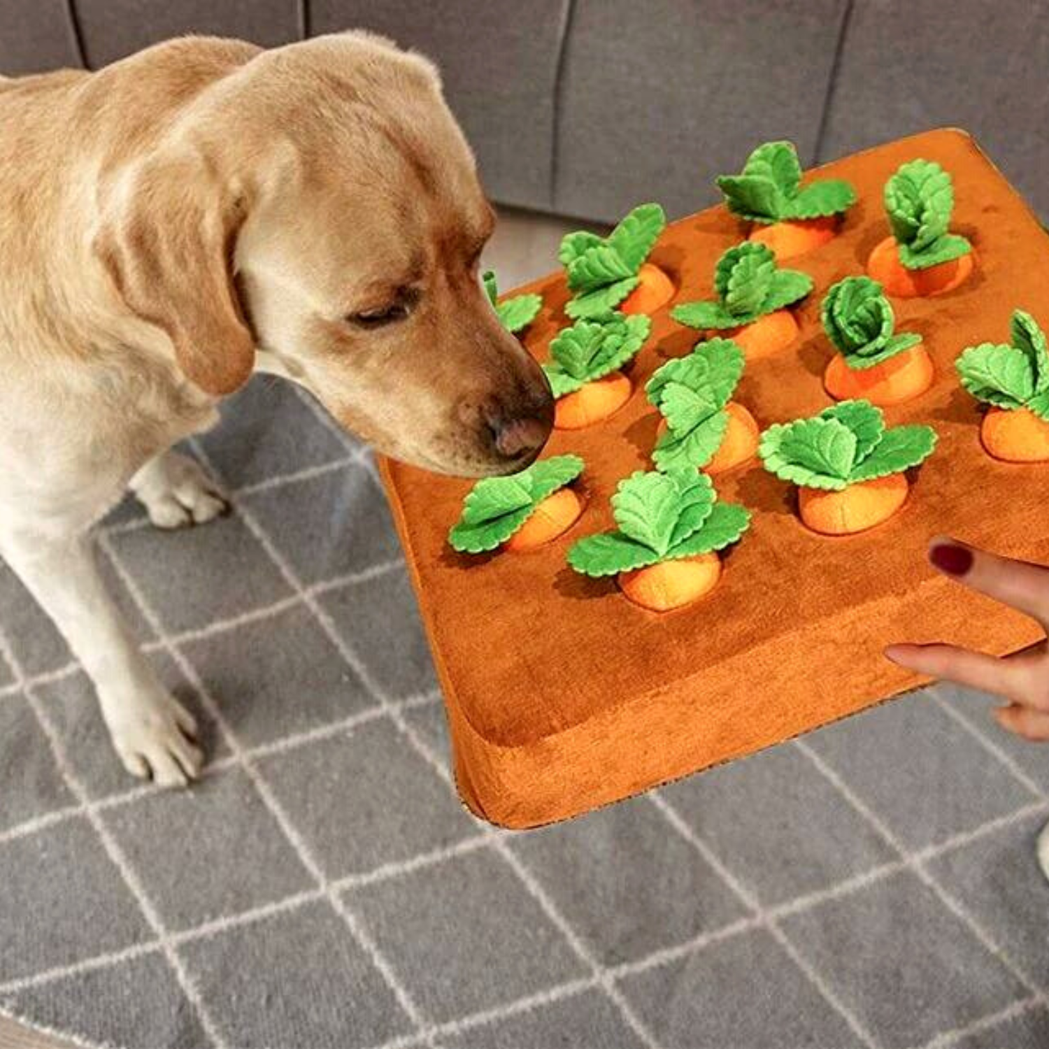 Carrot Farm Dog Game