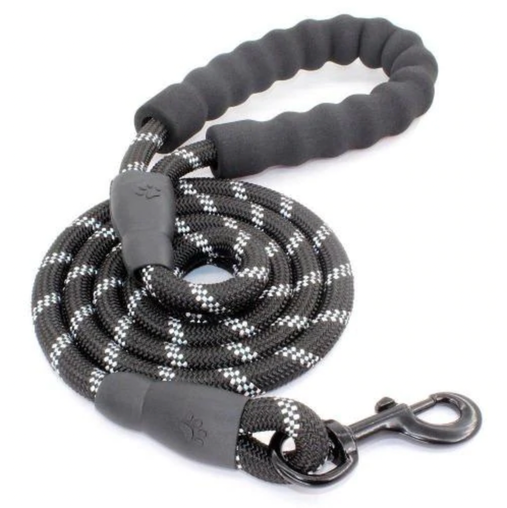 DAY DEAL: Reflective dog leash for evening walks
