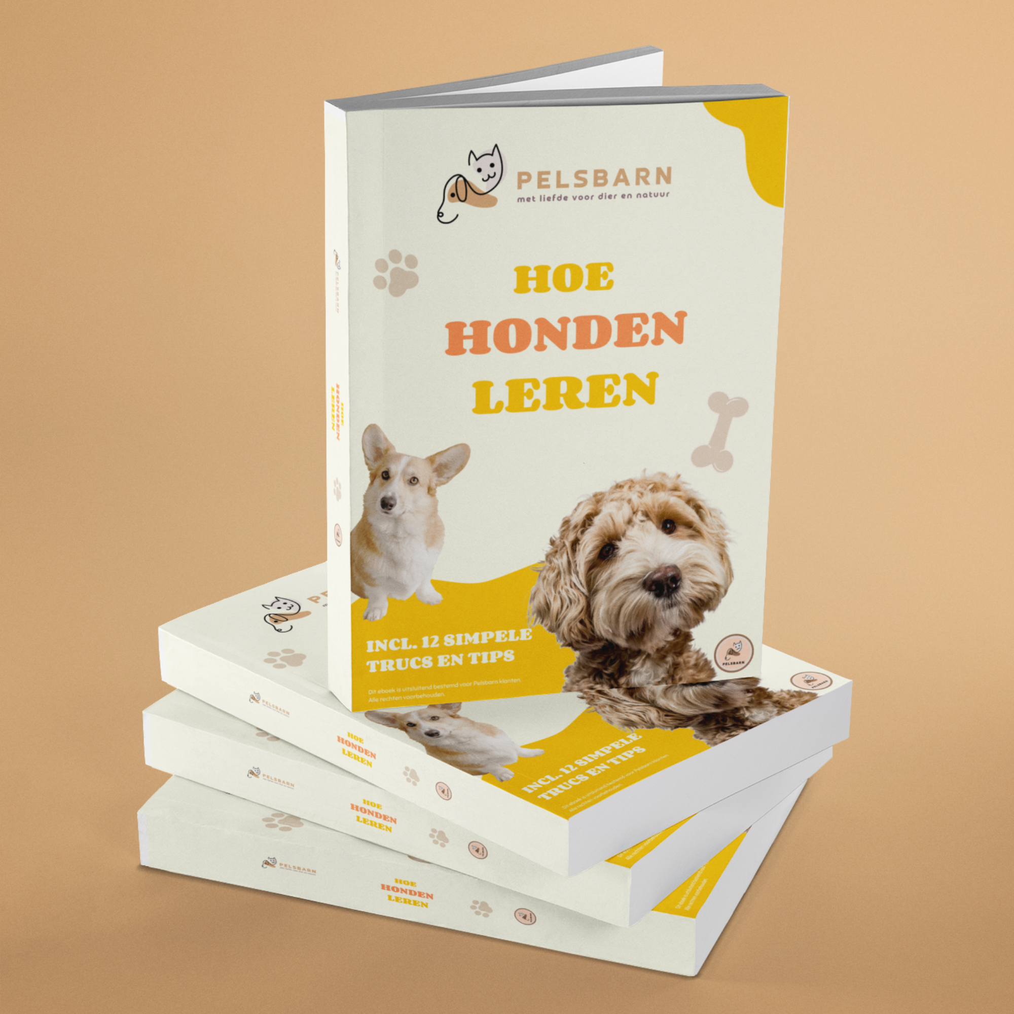 Hondenboek: hoe leren honden