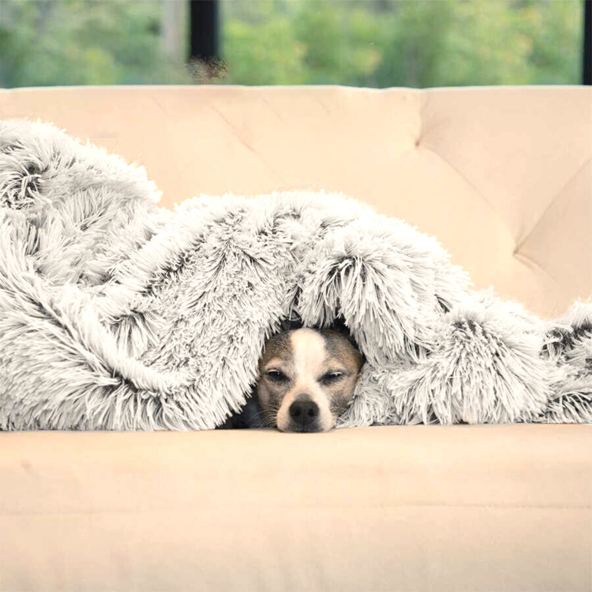 Fluweel zacht fluffy deken voor honden