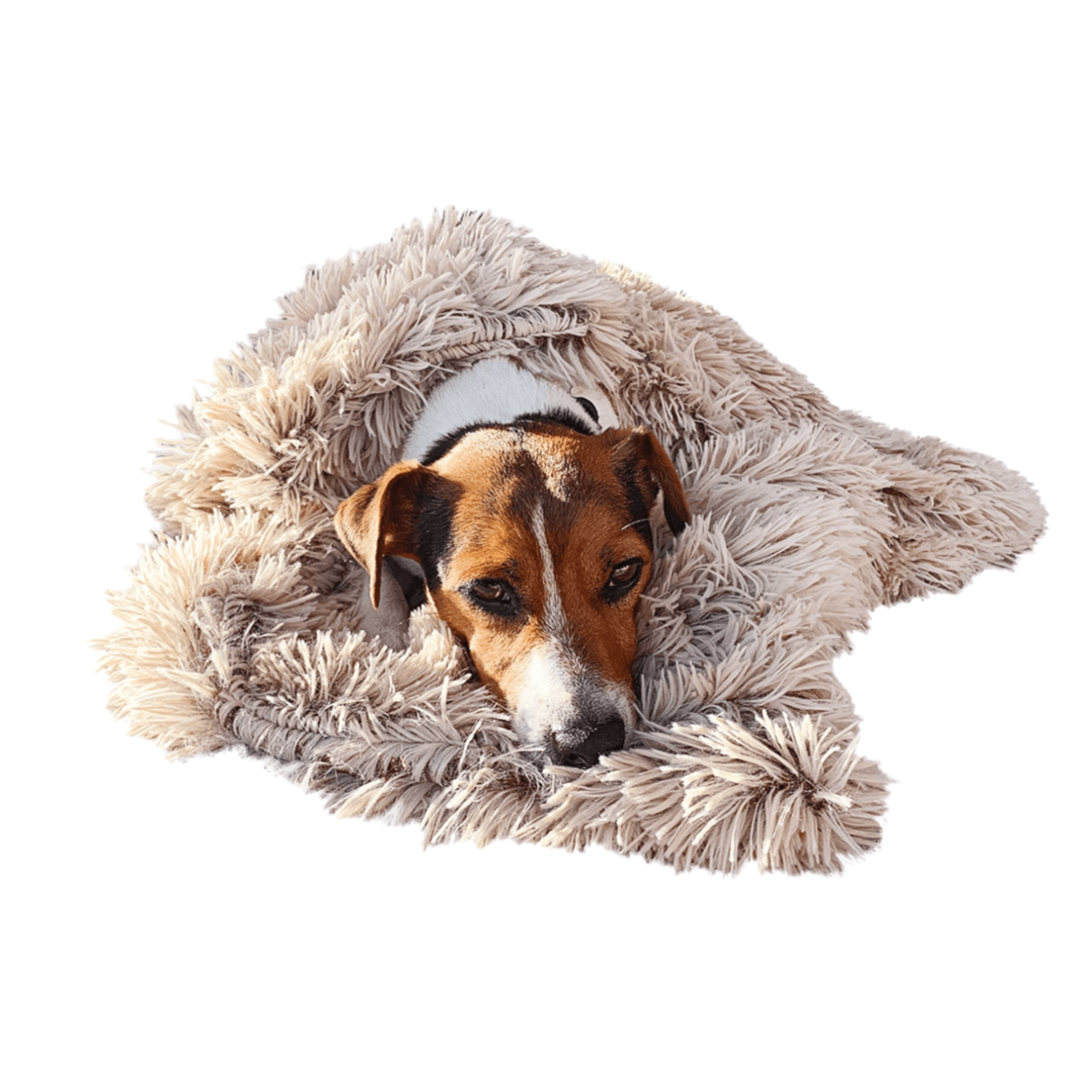 Velvet soft fluffy blanket for dogs